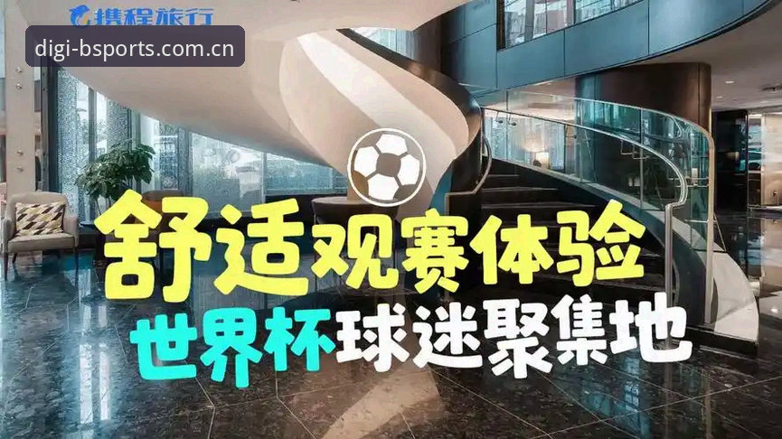 世界杯观赛受阻怎么办？从签证困境看B体育平台如何优化您的赛事体验